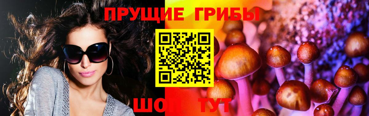 Галлюциногенные грибы MAGIC MUSHROOMS  Вход с VPN  Воркута 